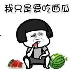 吃瓜娱乐圈动画,娱乐圈动画大揭秘